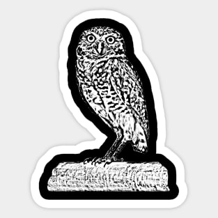 owl Sticker